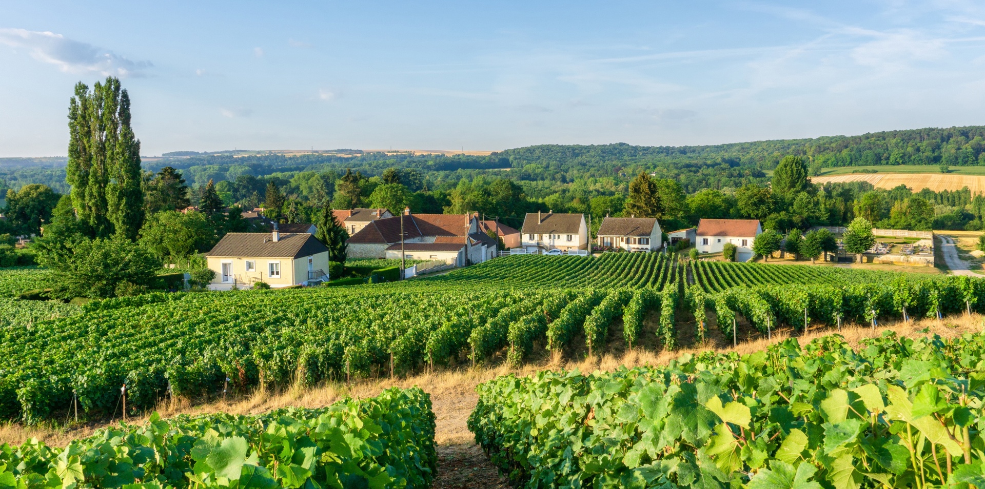 Cruise the Seine with Gabriel Gaté